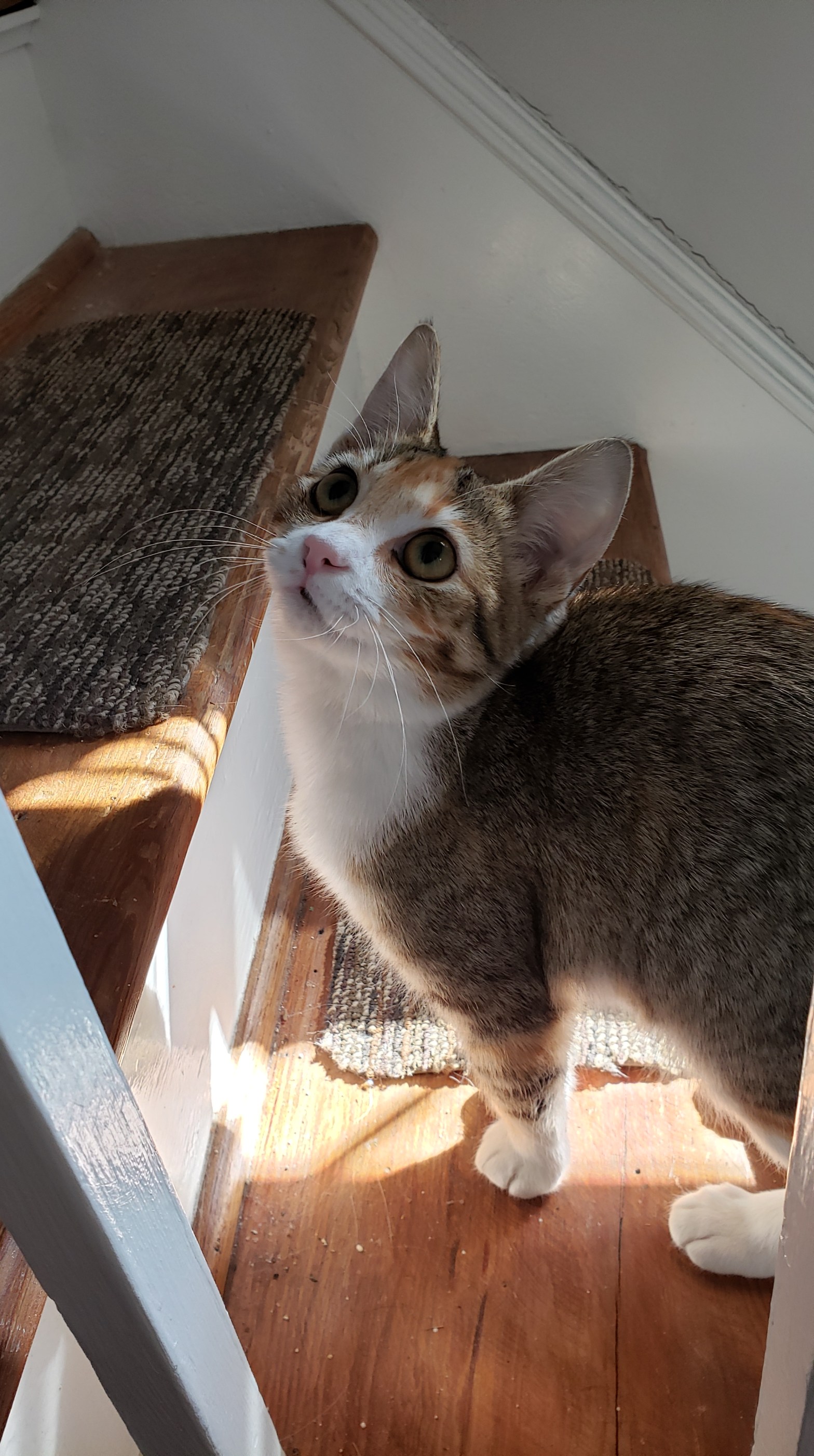 Sidewalk Flowers: A day at a&nbsp;time